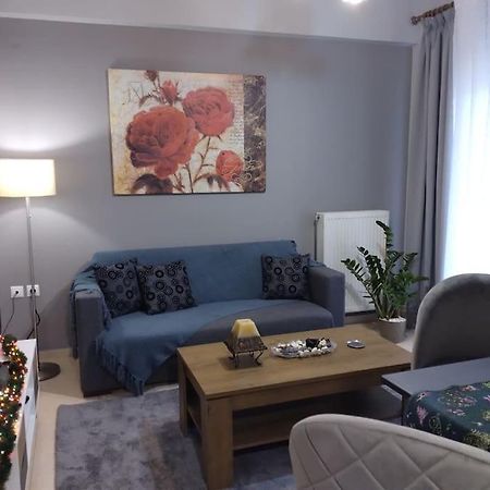 Χαίρε, Ξεΐνε, Παρ' Αμμι Φιλησεαι Apartment Trikala  Bagian luar foto