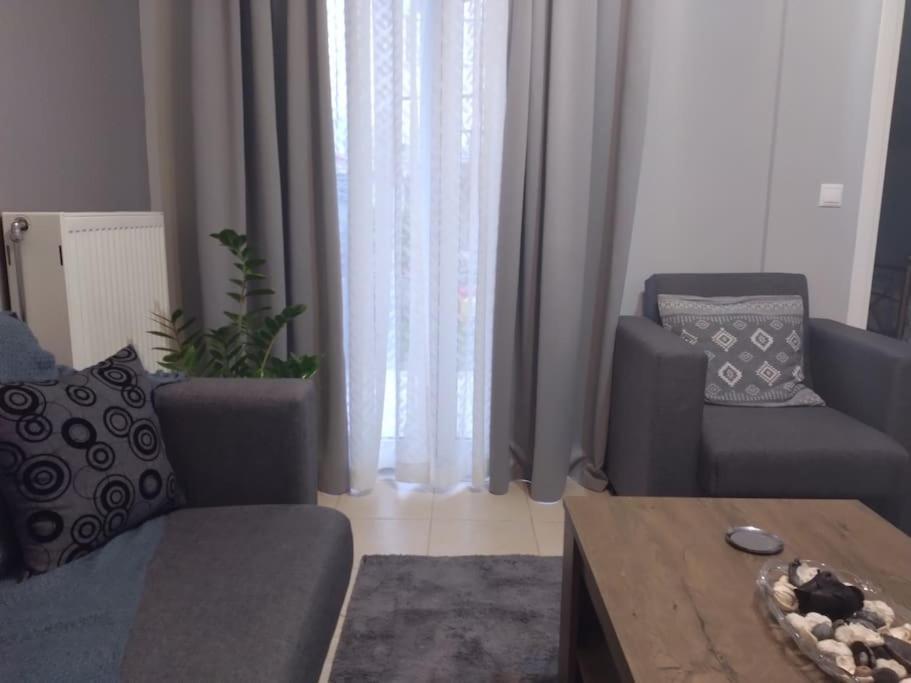 Χαίρε, Ξεΐνε, Παρ' Αμμι Φιλησεαι Apartment Trikala  Bagian luar foto