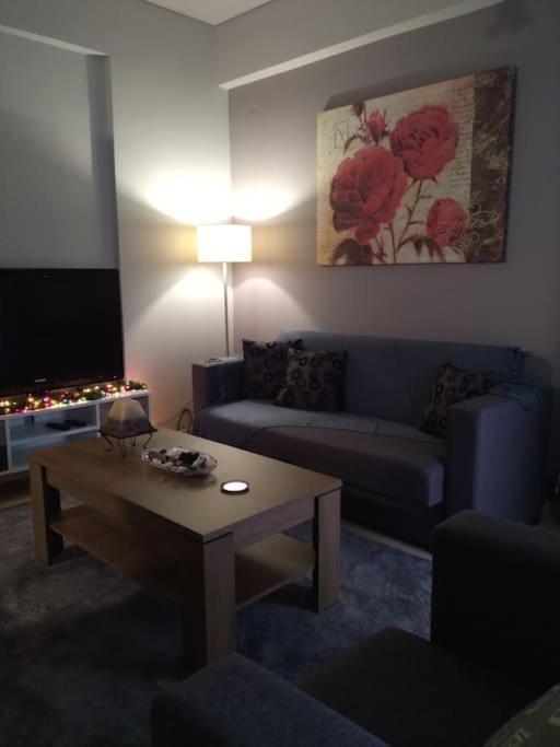 Χαίρε, Ξεΐνε, Παρ' Αμμι Φιλησεαι Apartment Trikala  Bagian luar foto