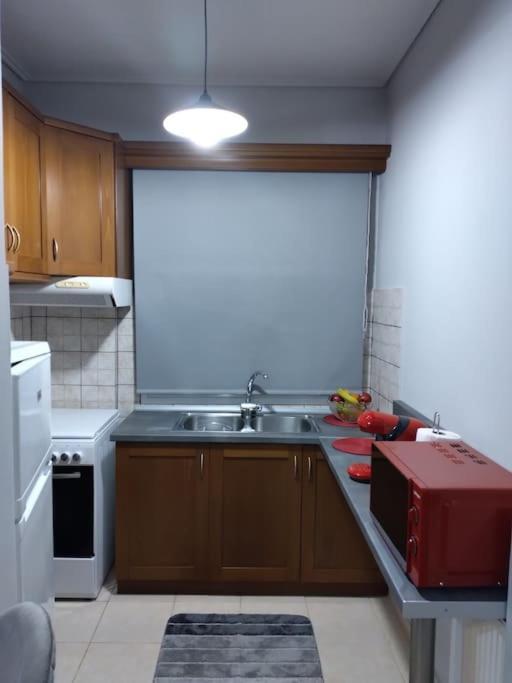 Χαίρε, Ξεΐνε, Παρ' Αμμι Φιλησεαι Apartment Trikala  Bagian luar foto