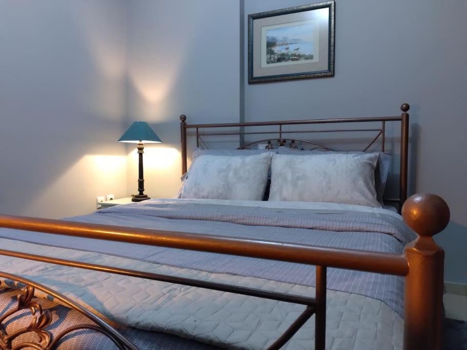 Χαίρε, Ξεΐνε, Παρ' Αμμι Φιλησεαι Apartment Trikala  Bagian luar foto