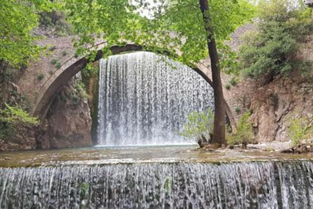 Χαίρε, Ξεΐνε, Παρ' Αμμι Φιλησεαι Apartment Trikala  Bagian luar foto