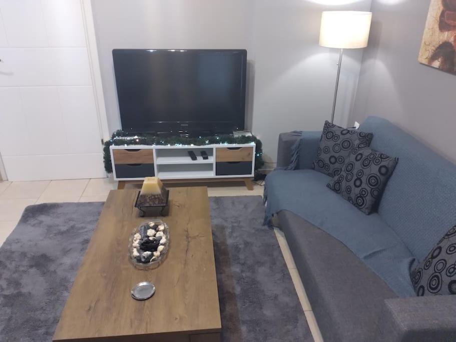 Χαίρε, Ξεΐνε, Παρ' Αμμι Φιλησεαι Apartment Trikala  Bagian luar foto