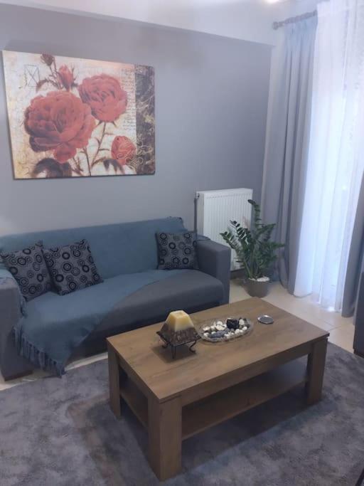 Χαίρε, Ξεΐνε, Παρ' Αμμι Φιλησεαι Apartment Trikala  Bagian luar foto