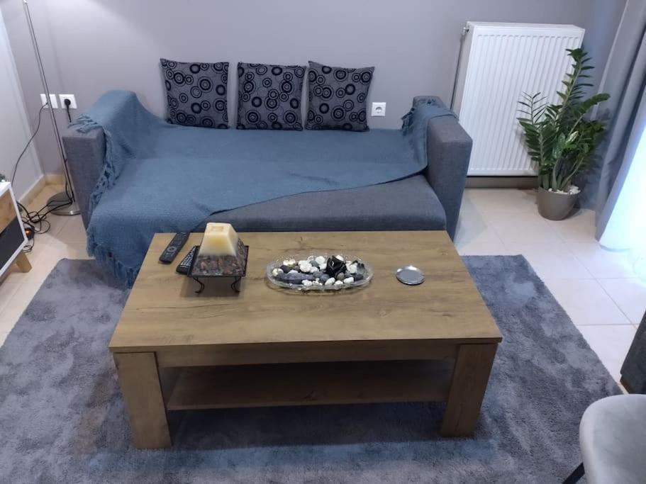 Χαίρε, Ξεΐνε, Παρ' Αμμι Φιλησεαι Apartment Trikala  Bagian luar foto