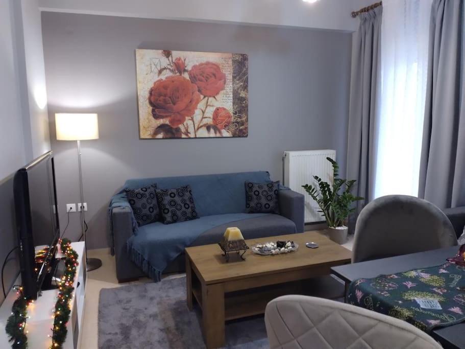 Χαίρε, Ξεΐνε, Παρ' Αμμι Φιλησεαι Apartment Trikala  Bagian luar foto